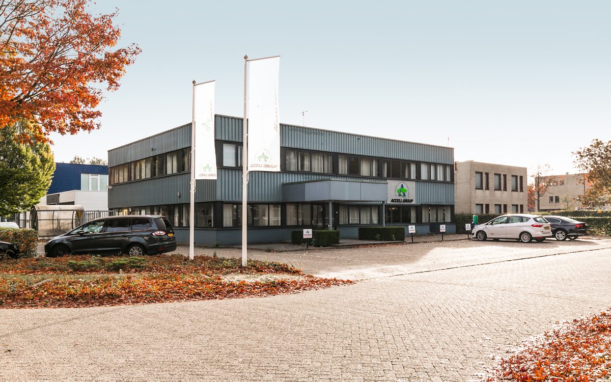 Apeldoorn, Sutton 4